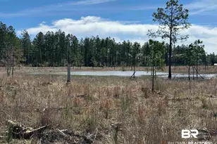 3 County Road 64, Robertsdale, AL 36567 - Photo 1