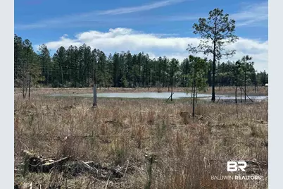 4 County Road 64, Robertsdale, AL 36567 - Photo 1