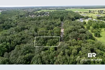 Lot 10 Caney Creek Drive, Daphne, AL 36526 - Photo 1