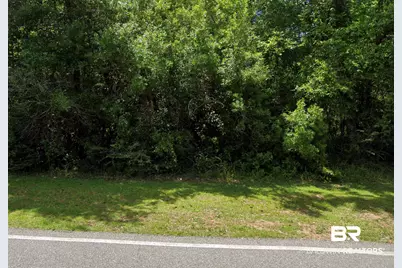 0 Ceiba Grande Street, Fairhope, AL 36532 - Photo 1