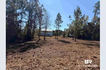 5308 Pine Road, Orange Beach, AL 36561 - Photo 1