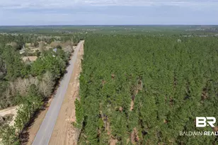 0 Cowpen Creek Rd, Robertsdale, AL 36567 - Photo 1