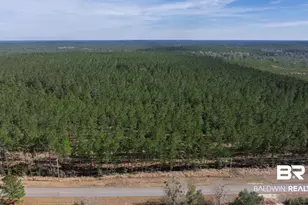 0 Cowpen Creek Rd, Robertsdale, AL 36567 - Photo 1