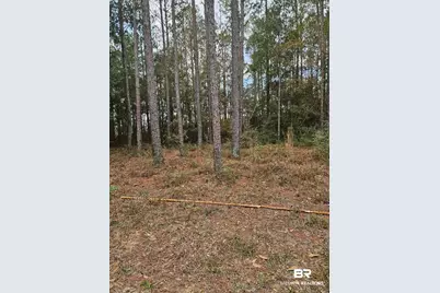 0 Gardner Road, Elberta, AL 36530 - Photo 1