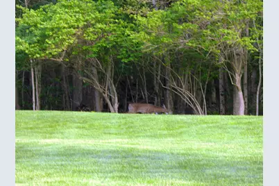 2732 Summer Field Trail, Sidney, OH 45365 - Photo 12