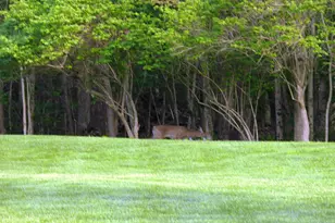 2732 Summer Field Trail, Sidney, OH 45365 - Photo 12