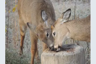 4164 County Road 1, Bellefontaine, OH 43311 - Photo 66