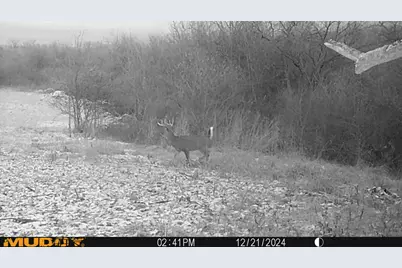 0 Township Road 127, Zanesfield, OH 43360 - Photo 38