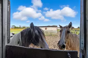 1855 S Cool Rd, Lima, OH 45806 - Photo 62