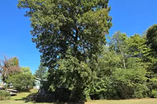 5197 County Rd 1, Bellefontaine, OH 43311 - Photo 88