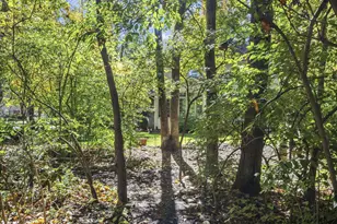 916 Sawmill Ct, Springfield, OH 45503 - Photo 60