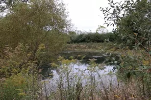 7521 Brush Lake Rd, North Lewisburg, OH 43060 - Photo 80