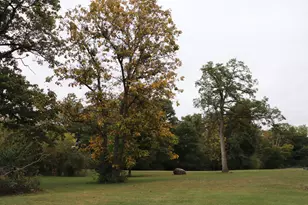 7521 Brush Lake Rd, North Lewisburg, OH 43060 - Photo 78