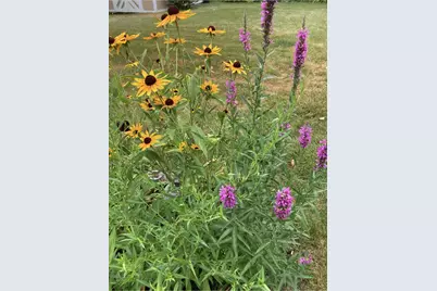 1054 Wilhelmina Drive, Vandalia, OH 45377 - Photo 48