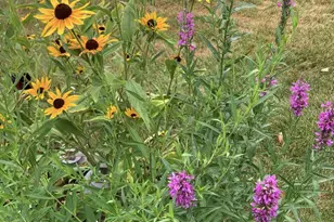 1054 Wilhelmina Dr, Vandalia, OH 45377 - Photo 48