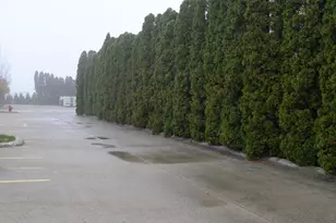 241 Chase Ave, Russells Point, OH 43348 - Photo 28