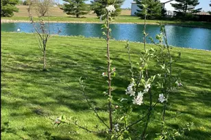 7422 Staeger Rd, Celina, OH 45822 - Photo 22