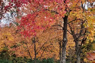 862 Brendle Trce, Springfield, OH 45503 - Photo 32