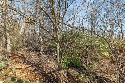 4921 Hawk Road, Mechanicsburg, OH 43044 - Photo 44