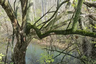 6100 E State Route 29, Sidney, OH 45365 - Photo 66