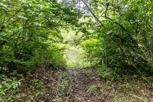 6350 Arcanum Bears Mill, Greenville, OH 45331 - Photo 96