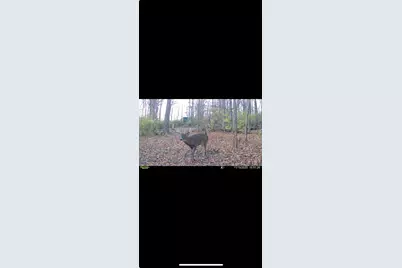 0 Kite Road, Saint Paris, OH 43072 - Photo 64