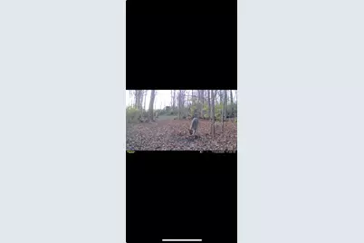 0 Kite Road, Saint Paris, OH 43072 - Photo 66