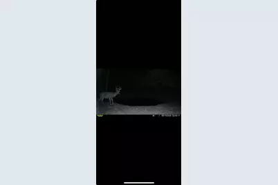 0 Kite Road, Saint Paris, OH 43072 - Photo 60