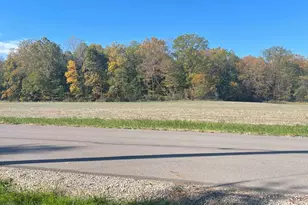 5411 Terre Haute Rd, Urbana, OH 43078 - Photo 12