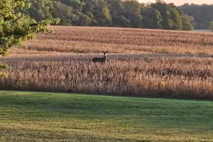 3000 N County Road 5, Bellefontaine, OH 43311 - Photo 44