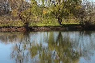 9660 Co Rd 66A, New Bremen, OH 45869 - Photo 6