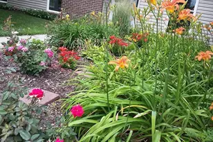 1117 Scenic Ct, Troy, OH 45373 - Photo 60