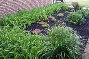 1117 Scenic Ct, Troy, OH 45373 - Photo 58