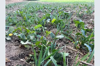 0 Township Hwy 127, Zanesfield, OH 43360 - Photo 24