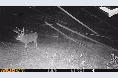 0 Township Hwy 127, Zanesfield, OH 43360 - Photo 32