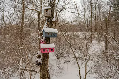 2884 Locke Drive, Beavercreek, OH 45431 - Photo 66