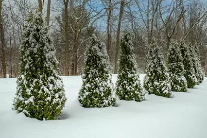 2884 Locke Drive, Beavercreek, OH 45431 - Photo 70