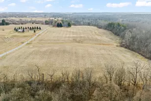 10999 Morrison-Mikesell Rd, New Paris, OH 45347 - Photo 12