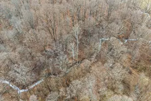 10999 Morrison-Mikesell Rd, New Paris, OH 45347 - Photo 10