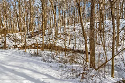 0 Township Road 55, Bellefontaine, OH 43311 - Photo 16