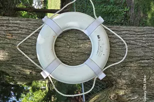 9371 Sassafras Dr, Lakeview, OH 43331 - Photo 58