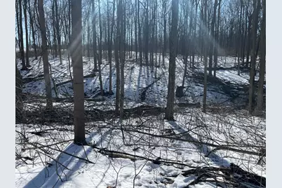 0 County Road 5, Zanesfield, OH 43360 - Photo 38