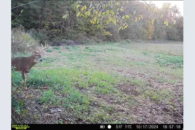 0 County Road 5, Zanesfield, OH 43360 - Photo 104