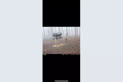 0 County Road 5, Zanesfield, OH 43360 - Photo 136