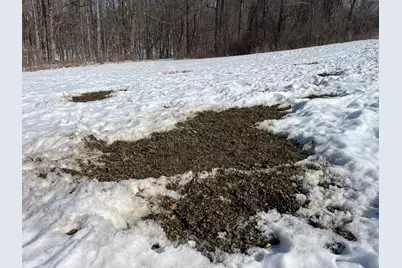 0 County Road 5, Zanesfield, OH 43360 - Photo 34