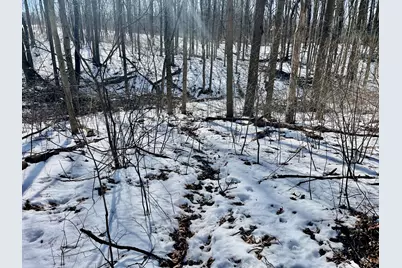 0 County Road 5, Zanesfield, OH 43360 - Photo 16