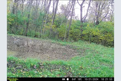 0 County Road 5, Zanesfield, OH 43360 - Photo 82