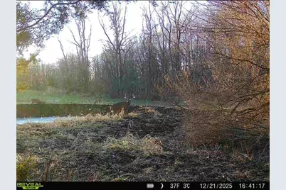 0 County Road 5, Zanesfield, OH 43360 - Photo 96