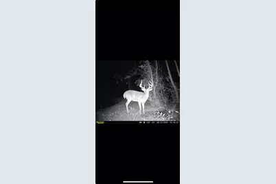 0 County Road 5, Zanesfield, OH 43360 - Photo 138