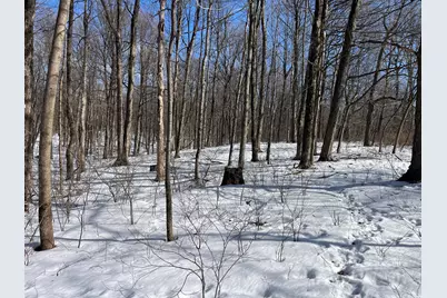 0 County Road 5, Zanesfield, OH 43360 - Photo 32